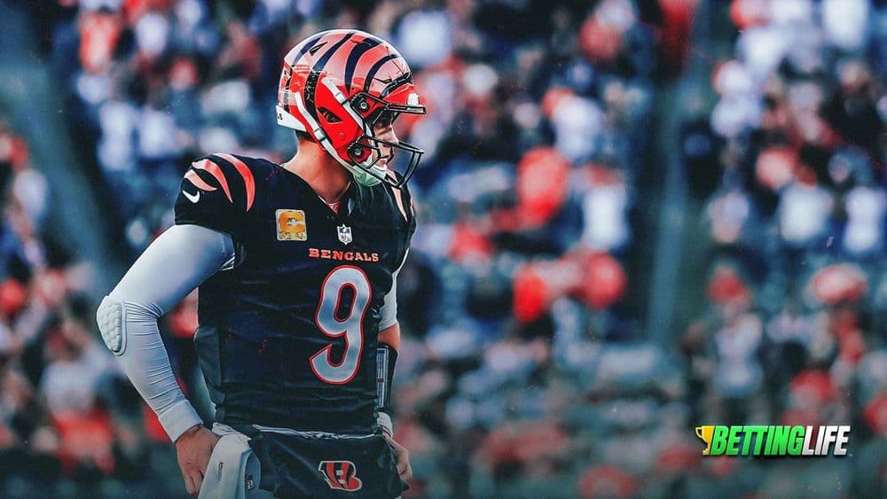 Are the Bengals a Good Bet to Make it Back to the Playoffs?