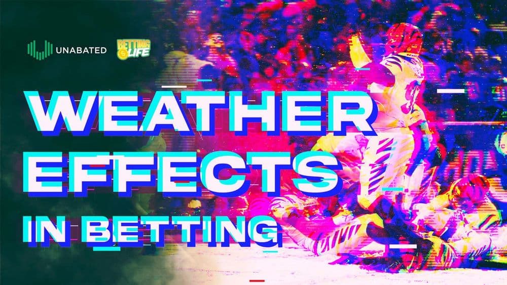 šŖļø Quarter. Back. Chaos.