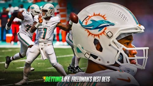 NFL Bets For Week 12: Swimming With The Dolphins
